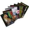 Blasetti Animal - Maxi Quaderno A4-1R Righe Senza Margine - 10pz | Blasetti: car