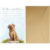 Gosknor Commovente Biglietto Condoglianze per Perdita di un Cane, Cartolina con Busta Pensieroso Regalo Commemorativo per Proprietari Lutto Amanti dei Cani Amici & Famiglia (20,5x13,5cm)