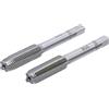 BGS 1900-M10X1.25-B | Set di maschi | M10 x 1,25 | 2 pz.