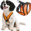 Gooby Comfort X Pettorina arancione, M, per cani di taglia piccola e media, anti-tiro, struttura brevettata anti-soffocamento X Frame, perfetta in viaggio, per uso interno ed esterno