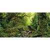 MIRRORANG 120x50cm Foresta Tropicale Terrario Sfondo Ruscello Verde Enorme Albero Rettile Habitat Sfondo Nebbioso Foresta pluviale Acquario Sfondo Vinile