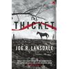 Joe R. Lansdale The Thicket (Tascabile)