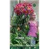 PERAGA GARDEN BULBI AUTUNNALI LILIUM GIGANTE EMPOLI CONFEZIONE 2 BULBI BULBS BULBES