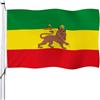 Aoihrraan Etiopia Bandiera 60x100cm Doppio Lato Ethiopian Lion Flags Banner Per Le Celebrazioni All'Aperto Casa Giardino Porch Party Decorazione Bandiere Con 2 Robusti Grommets Precisione