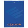 colorosa Maxi quaderno colorato A4 (21 x 29,7 cm) - 18 fogli, 100g, Carta certificata FSC - 9 colori assortiti (pacco 10 pezzi) - Colorosa (Rig B - Righe con margini 3^ elementare)