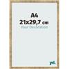 yd. Cornice A4 21x29.7 cm Oro Antico - Cornice in MDF Bologna | Your Decoration, Vetro acrilico antiriflesso, Montaggio a parete, Adatta per foto, poster o puzzle, Made in Holland