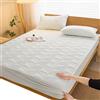 ELYSYSRL Coprimaterasso Matrimoniale Impermeabile con Angoli 180x200 Copri Proteggi Materasso Imbottito Trapuntato Lenzuolo Singolo/Una Piazza e Mezza Morbida Confortevole(Color 2,1PC 200x220cm)