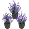 Hixava 3 Pezzi Piante Artificiali Piccole Mini Piante Artificiali in Vaso Lavanda