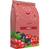 iYeast Lievito Enologico Selezionato - Ribes 0,500 kg - Lievito per Vinificazione/Fermentazione/Vino