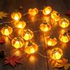 LQTSLFM 3 Meter 30 LED Stringa Luci Autunnali, Catena Luminosa Zucca Autunnale | Lucine Led Decorative Autunnale, Fata String Light Autunnale per Decorazione Autunno