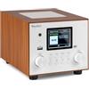 Audizio Vieste - Radio DAB con Bluetooth, altoparlante da 60 Watt, radio DAB Plus con porta USB, FM e FM, funzione sveglia, 20 spazi di memoria, ricerca automatica, bianco