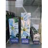 Frais Monde Jasmine Acqua Profumata - 125 gr
