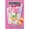 Ian Flynn Sonic the Hedgehog: Amy's Anni (Copertina rigida) (PRESALE 22/09/2026)