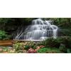 MIRRORANG 61x30cm Cascata Acquario Terrario Sfondo Natura Foresta Verde Pianta Fiori Lago Acquario Sfondo