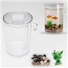 BEST DIRECT FISH WONDER Acquario da Tavolo con Illuminazione LED - Mini Acquario Decorativo per Pesci, con Pietre e Piante Artificiali, Acqua Sempre Pulita, Facile Manutenzione, Idea Regalo per Bambini