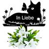 Wondramble Pietra lapide di gatto per esterni, resistente alle intemperie, spina da giardino, lavagna commemorativa (30 cm, gatti)