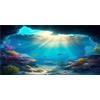 MIRRORANG 120x50cm Sfondo Acquario Oceano Sottomarino Sole Sfondo Acquario Tropicale Sfondo Drago Barbuto Vivarium Sfondo Vinile