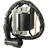 Generic Bobina di accensione per ATV per Carrello da Golf G1 J10 1976-1986