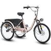 Generic Triciclo elettrico adulti da 24 (61 cm) per il trasporto di merci e per la spesa degli anziani