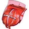 Beimus Golfs Ball Line Clip, strumento di allineamento palla da golf | Golfs Line Marker per mettere accuratamente, strumento di allineamento della palla da golf
