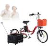 Generic Triciclo elettrico con ruota da 20 per adulti e anziani, ideale per fare esercizio e shopping.