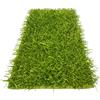 Tex family Tappeto Shaggy Verde Moderno - Pelo Lungo 6 cm - Antiscivolo, 12 Misure - Annodato a Mano, Morbido e Resistente - Cm. 120x180
