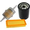 Somer Car KIT TAGLIANDO COMPATIBILE CON FIAT PANDA 1100 PUNTO PRIMA SERIE CINQUECENTO 500 II 1.1 SEICENTO