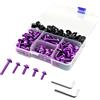 BORDSTRACT Kit di bulloni per carenatura moto da 177 pezzi,viola | Kit di fissaggio colorato per parabrezza moto M5 M6, bulloni, dadi e clip per carenatura di moto e scooter.
