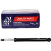 FAST Ammortizzatore FT11256 Hinterachse links | Compatibile con: FIAT BRAVO II, STILO