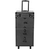 DWIKRYT Valigetta per cosmetici, trolley con 2 livelli retrò, con 4 chiavi, timone e maniglia, per parrucchieri, carrelli da lavoro, 38 x 25,5 x 82 cm (nero, 2 retrò)