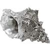 Maturi - Decorazione in argento con conchiglia, 15 cm