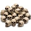 Pyralidsg 20 Pezzi Mini Teschi Decorativi Halloween 1.8 x 2.1cm, Resina Figurine Scheletro Miniatura, Decorazioni Halloween Casa Infestata Festa Horror Tavolo Vaso di Fiori DIY