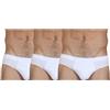 Fragi Slip Uomo in Puro Cotone Filo di Scozia, Intimo Uomo in Tessuto Elastico Senza Cuciture Seamless, Made in Italy (IT, Testo, XL, Regular, Regular, 3, Bianco)