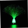 Eioflia Lampada a fibre ottiche a LED che cambia colore, luce notturna con cavo USB (senza batteria), luci in fibra ottica