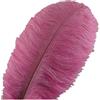VoilaLove 20 Pezzi Naturali Piume di Struzzo mestiere 10~12 Pollici (25~30 cm) pennacchio per centrotavola di Nozze Decorazione Domestica (Rosa)