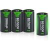 BEVIGOR Batterie Ricaricabili D, Batterie NiMH D Ad Alta Capacità, 4 Pezzi