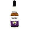 Natur Essenza Singola Australian Living - Goddess Grasstree 15 ml