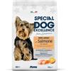 Generico Special Dog Excellence Mini Adult Salmone- Crocchette per cani adulti di taglia piccola, 1 confezione da 800 grammi.