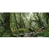 MIRRORANG 120x46cm Nebbioso Foresta Terrario Sfondo Ruscello Verde Enorme Albero Rettile Habitat Sfondo Foresta pluviale Tropicale Acquario Sfondo Vinile