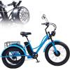 Generic Triciclo elettrico per adulti e anziani, 24 pollici, per fare la spesa e per l'esercizio fisico.