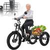 Generic Triciclo elettrico adulti da 24 pollici