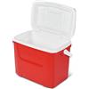 IGLOO Mini Kühlbox