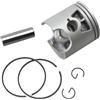REwNXA Kit pistone Std 705-850026T1 Compatibile con Motore per Barche 30HP-60HP Sostituisce 39-831255A6 850026T1 850026A1