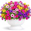 Frilla ARTIFLOWERS Fiori Artificiali, 6 Pezzi, 35 cm, Rosa, Rosa Antico, Giallo, Rosso Tramonto, Viola e Bianco, Plastica, per Matrimoni, Terrazze e Giardini, Uso Interno ed Esterno