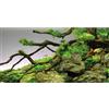 MIRRORANG 76x46cm Pietre Rami Acquario Sfondo Fiume Letto & Lago Acquario Vinile Sfondo Pianta Acquatica Pesce Serbatoio Sfondo