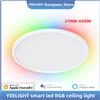 Yeelight Lampada da Soffitto LED RGB Intelligente Yeelight, Wifi, 24W, Dimmerabile, 2700K-6500K, Ultra Sottile, Controllo Vocale Intelligente, Compatibile con APP HomeKit Mi Home