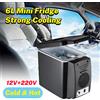 DWiusty Frigorifero Portatile 2-in-1 6L 12V/220V per Auto e Casa, Mini Frigo per Studenti, Dormitorio, Casa, Scatola di Riscaldamento e Raffreddamento, Frigorifero Silenzioso per Cosmetici, Latte Materno,