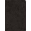 ESV ESV Value Large Print Compact Bible (Rilegato in ecopelle)