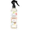 Areon Room Spray Coconut 300 ml