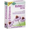 ECHINAID ESI SpA Echinaid Urto Integratore Echinacea Immunostimolante 30 Capsule - ECHINAID - 907043145